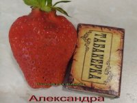 Фото пользователя pitomnikyagodsad