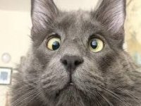 Фото пользователя Саня Гордый