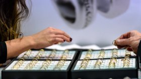 Оборот SOKOLOV вырос за 9 месяцев 2024 года на 37%
