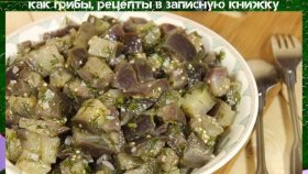 Можно ли закатать баклажаны на зиму как грибы