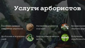 Арбористика: введение в тему