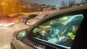 Более четырех тысяч нарушений ПДД пресечено автоинспекторами за пять дней областного профилактического мероприятия