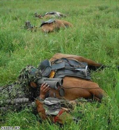 Открыть в полный размер