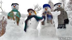 Конкурс на лучшего снеговика на главной ёлке Салды