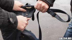 Салдинские полицейские неделю искали женщину, которая вырвала сумку из рук пенсионерки