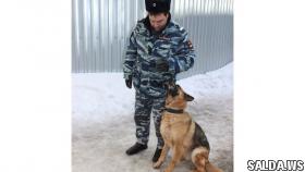 Служебно-розыскная собака Настя вывела салдинских полицейских к похищенному имуществу