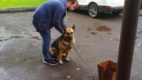Салдинские полицейские спасли собаку, которую владелец привязал и оставил на входе в одно из учреждений города