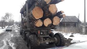 Салдинские полицейские ведут работу по сохранению лесных насаждений от незаконной вырубки