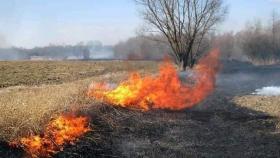 С начала этого года в Верхнесалдинском городском округе зарегистрировано 29 пожаров, из которых 7 – загорание мусора и сухой травы