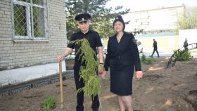 В Верхней Салде полицейские приняли участие в акции «Сад памяти»