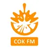 Сок FM