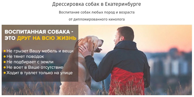 daj-lapu.com - школа воспитания и дрессировки собак в Екатеринбурге