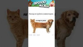 Короткие приколы и мемы с котами на 17 января 2022