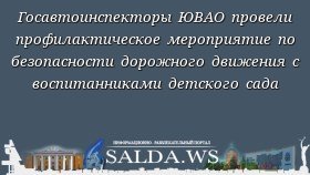 Госавтоинспекторы ЮВАО провели профилактическое мероприятие по безопасности дорожного движения с воспитанниками детского сада