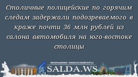 Столичные полицейские по горячим следам задержали подозреваемого в краже почти 36 млн рублей из салона автомобиля на юго-востоке столицы