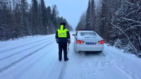 В связи с ухудшением погодных условий Госавтоинспекция призывает водителей к повышенной бдительности