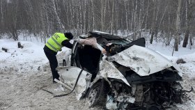 Малый опыт вождения автомобилиста привел к ДТП с двумя пострадавшими