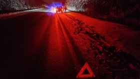 Сотрудники Госавтоинспекции Свердловской области оказали помощь семье на трассе в зимнюю ночь