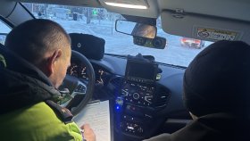 Сотрудники Госавтоинспекции устанавливают обстоятельства ДТП с участием пешехода