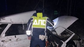 Выезд на встречную полосу привел к гибели двух человек на трассе под Нижним Тагилом