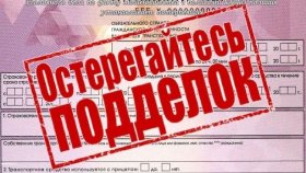 Предприимчивая салдинка «зарабатывала» на страховках. В рамках расследования уголовного дела по факту мошенничества с полисами КАСКО полиция устанавливает потерпевших