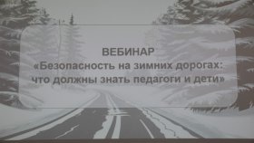 Автоинспекторы и врачи рассказали педагогам о защите детей на дорогах в зимний период