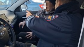 Госавтоинспекция выясняет обстоятельства ДТП, в результате которого пострадал пассажир