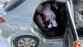 На загородной трассе под Каменском-Уральским автоинспекторами пресечена перевозка ребенка на руках у матери